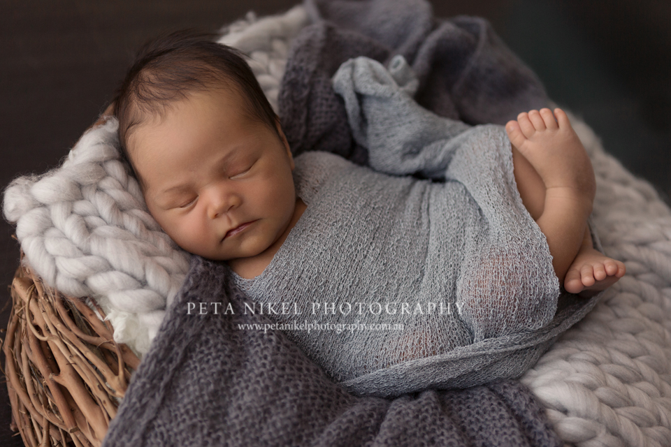 Newborn photography hobart 