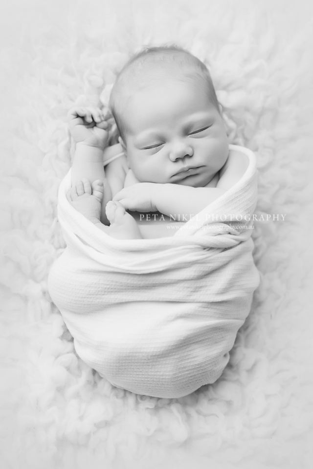 Newborn baby photos taken in Hobart studio