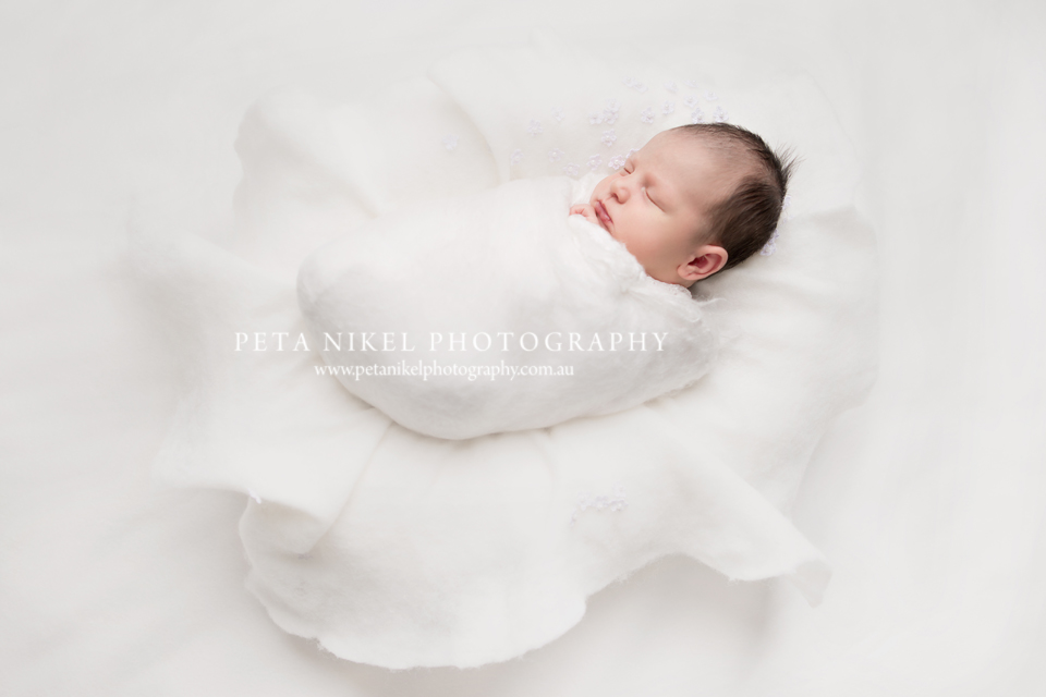 Hobart newborn photographer