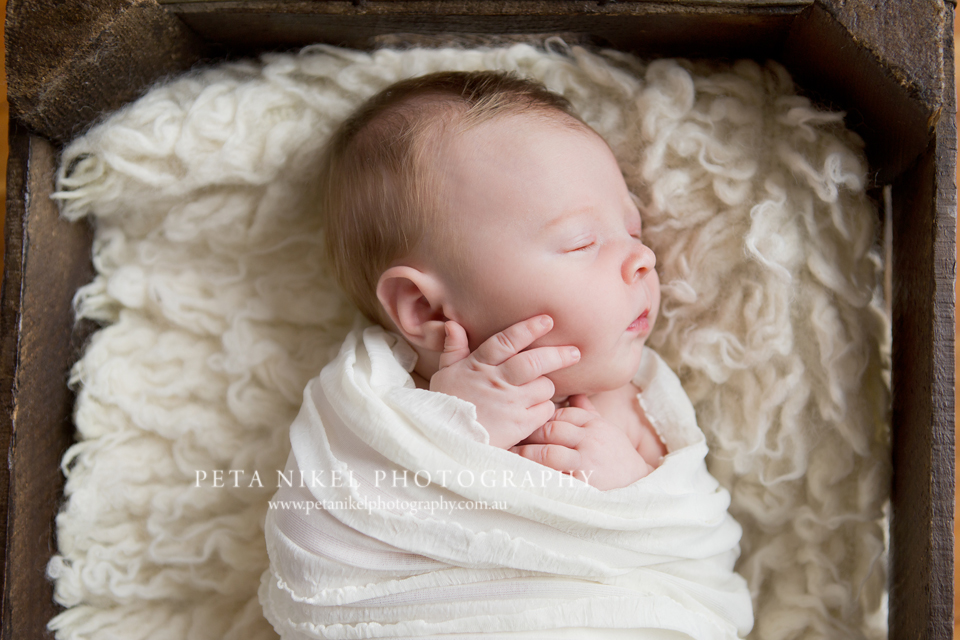 newborn photos hobart