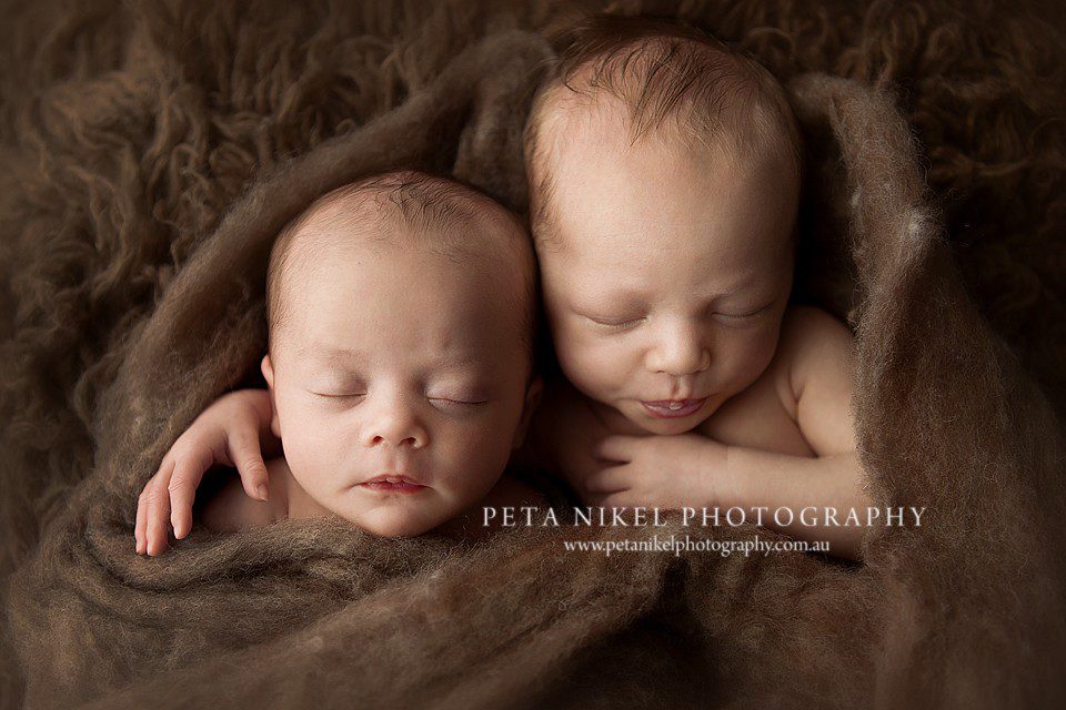 Hobart newborn twins photographer