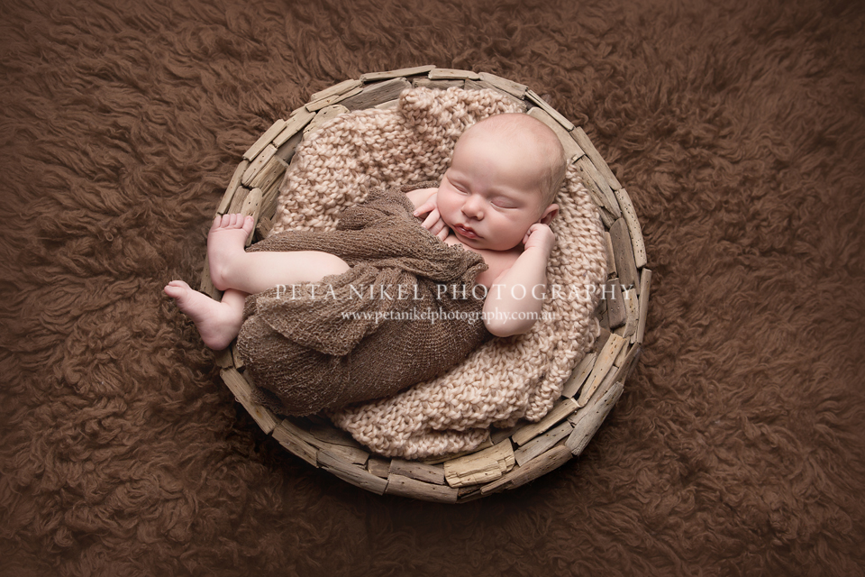 newborn photography hobart