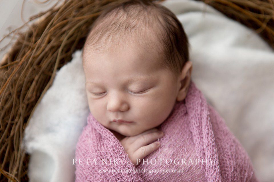 Hobart Baby Photographer 2