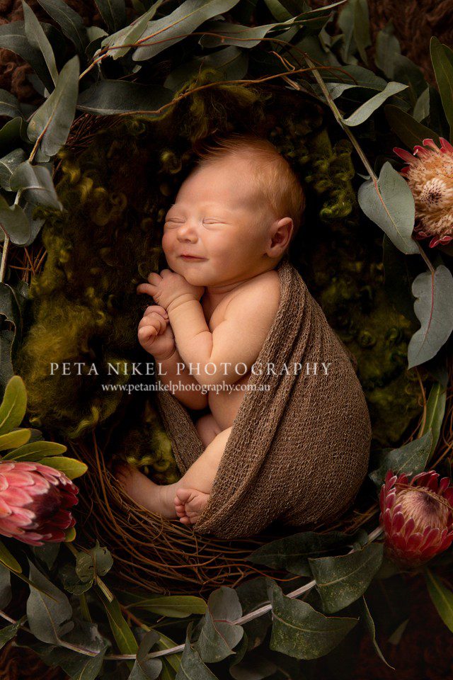 Hobart Newborn Photographer 3