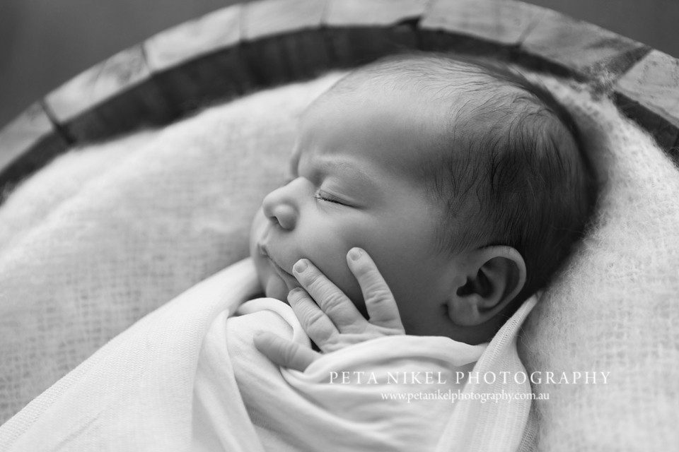 Hobart newborn photographer 2