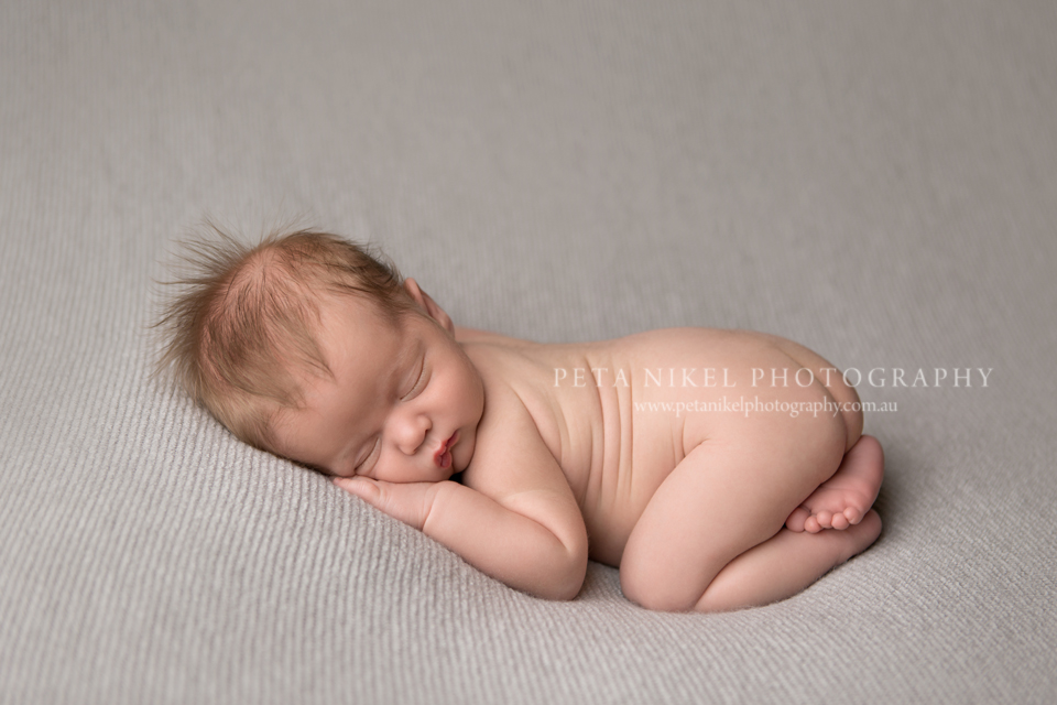 Hobart newborn photographer