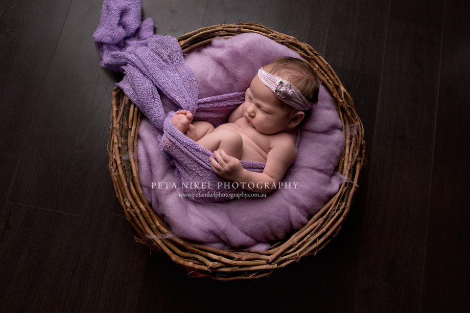 hobart newborn photographer 