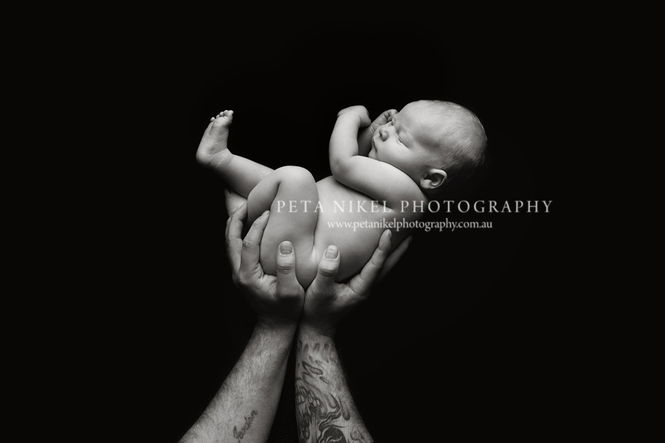 Hobart Newborn photographer