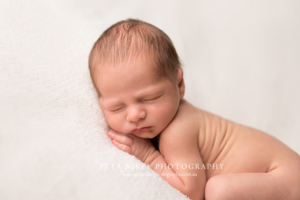 hobart newborn photographer