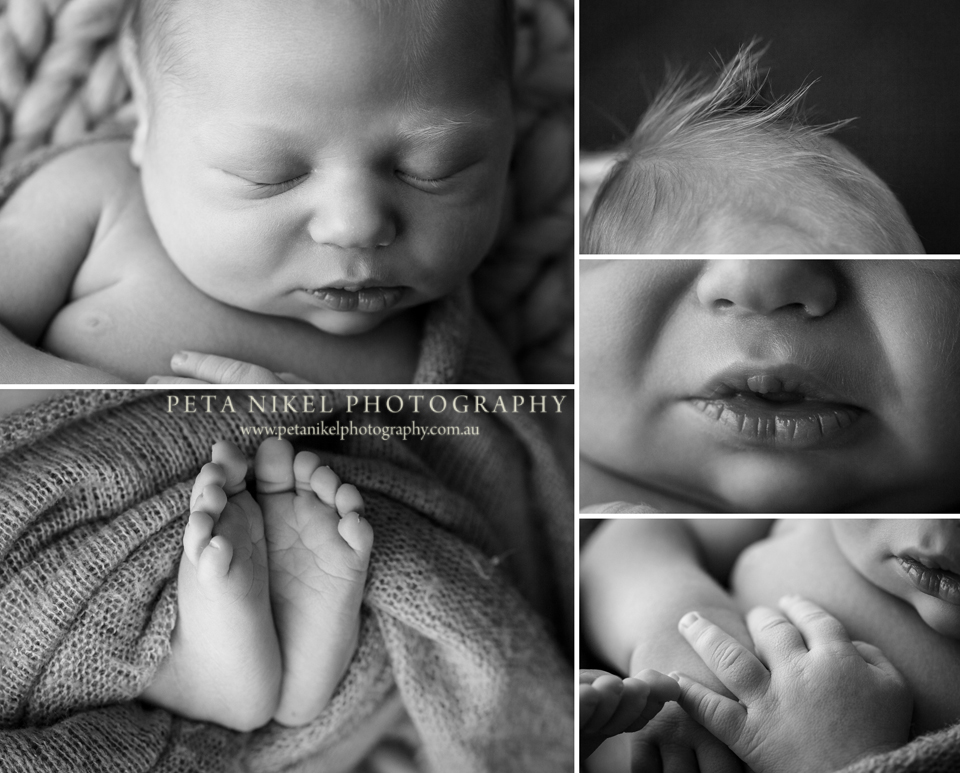 Hobart Newborn Photographer