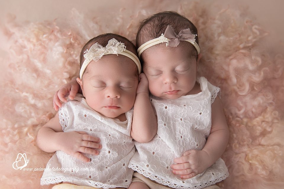hobart newborn twins photography