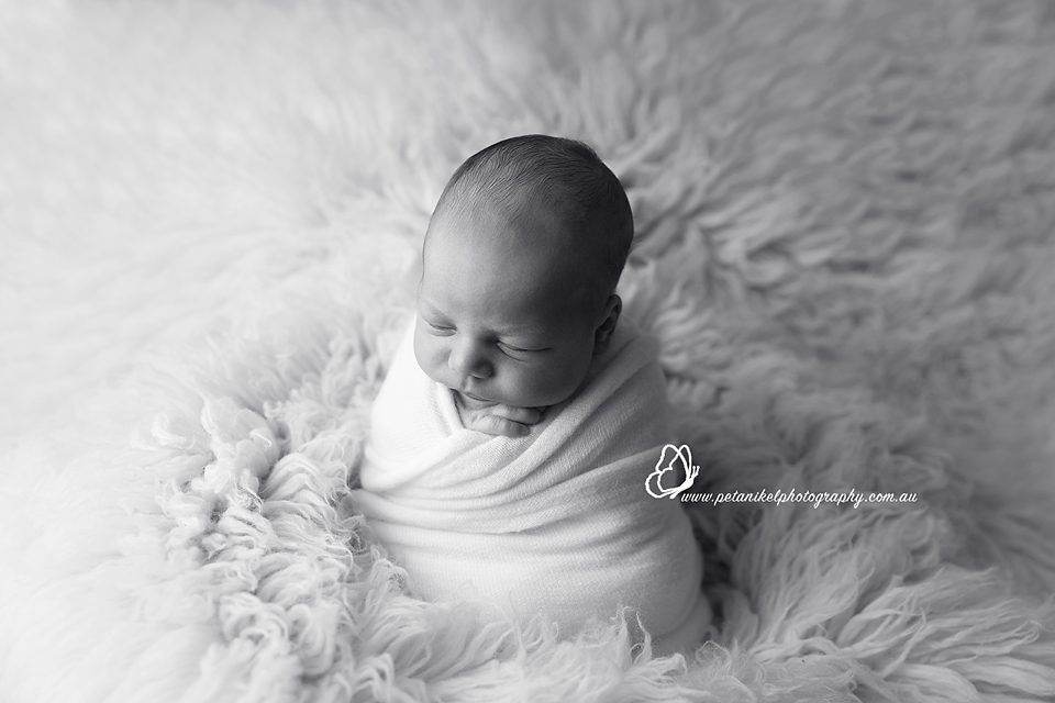 Newborn Photographer Tasmania