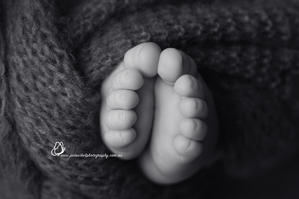 Baby Photographer Tasmania