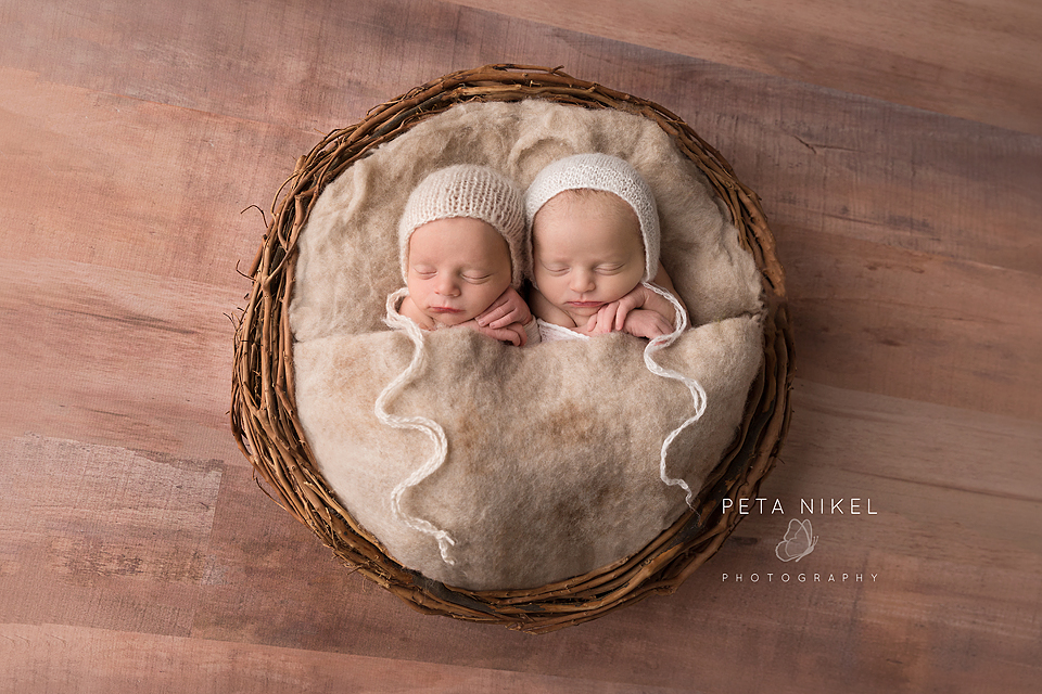 Hobart Newborn Twins Photographer
