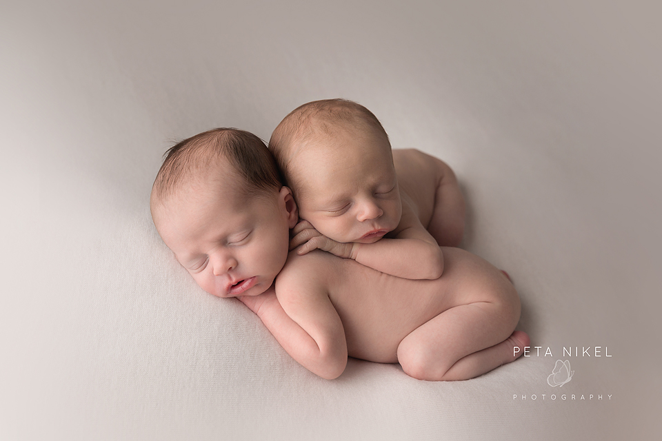 Hobart Newborn Twins Photographer