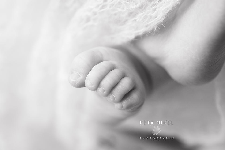 Newborn Photographer Hobart