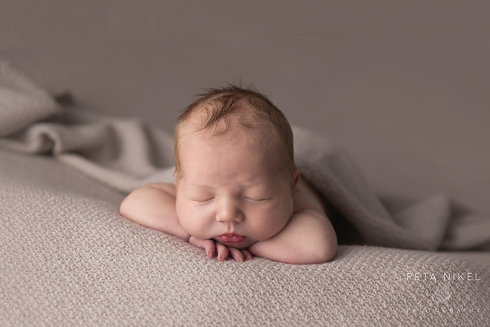 Hobart Newborn Photography
