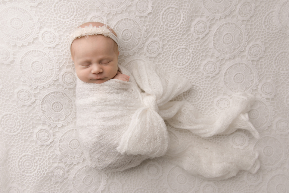 hobart newborn photographer